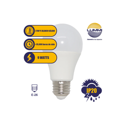 Foco LED 9W tipo A60 BC (A60LED9/BC)