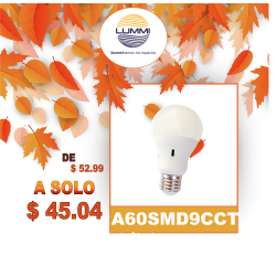 FOCO TIPO A-60 3 TONOS DE LUZ (A60SMD9CCT)