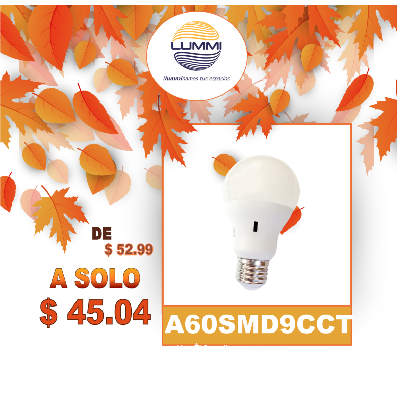 FOCO TIPO A-60 3 TONOS DE LUZ (A60SMD9CCT)