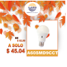 FOCO TIPO A-60 3 TONOS DE LUZ (A60SMD9CCT)
