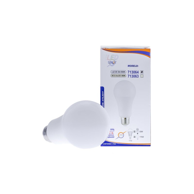 Foco LED tipo A70 (A70LED17/LD)