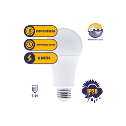 Foco LED tipo A70 (A70LED17/LD)