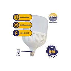 Foco  LED tipo Bala 30W (T100LED30/LD )