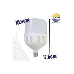 Foco  LED tipo Bala 30W (T100LED30/LD )