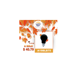 Foco  Incandescente 75W de luz negra UV (A19BLB75)