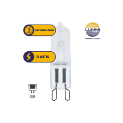 FOCO CACAHUATE 127V. 75W. G9 (G975F)