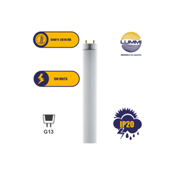 TUBO FLUORESCENTE LUZ DE DIA 15W T8 Paq 5pzs (FL15D)
