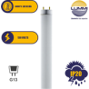 TUBO FLUORESCENTE LUZ DE DIA 15W T8 Paq 5pzs (FL15D)