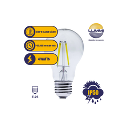 Foco A60 Filamento LED (A60FILED4/LD)