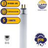 Tubo fluorescente T5, Paq 5 pzs (FL6BL)