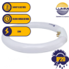 Tubo circular T5 185mm 16W (FCL22)