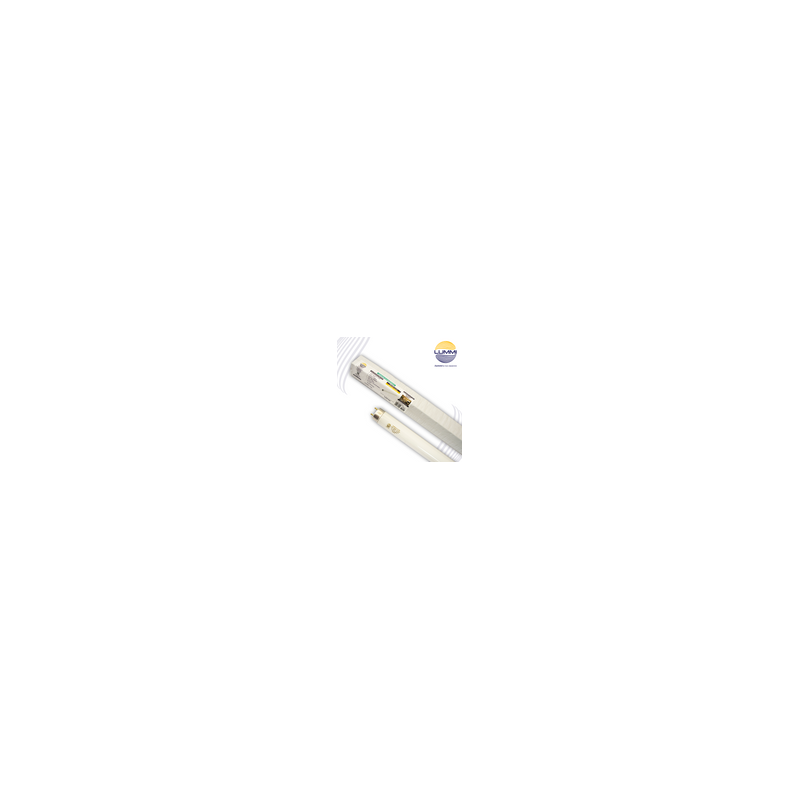 TUBO FLUORESCENTE 32W T8. LUZ DE DÍA Paq 5pzs (FL32/64)