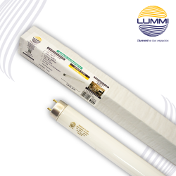 TUBO FLUORESCENTE 32W T8. LUZ DE DÍA Paq 5pzs (FL32/64)