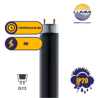 Tubo fluorescente 8W Luz Negra T5 Paq 5pzs (FL8BLB)